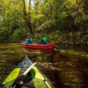 Někdy jsme si připadali jako v džungli, jiná než zelená barva kolem řeky nebyla / F: Petr Jan Juračka