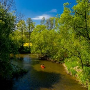 Divočina horního Labe dronovým pohledem / F: Petr Jan Juračka