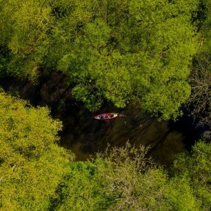 Divočina horního Labe dronovým pohledem / F: Petr Jan Juračka