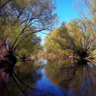 Divočina / F: Monika Klemšová