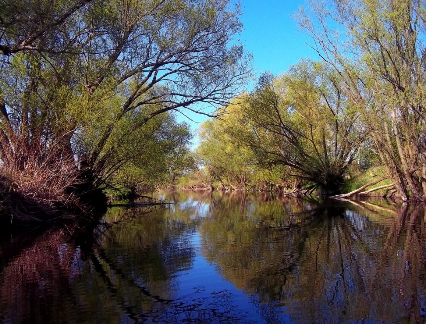 Divočina / F: Monika Klemšová