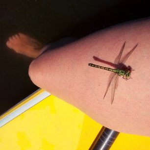 Asi se chce svézt… / F: Monika Klemšová