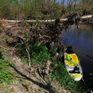 Nepřelezu, nepodpluju, musím roštím po svých / F: Monika Klemšová