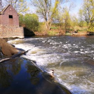 Jez Radomierzyce blízko Berzdorfer See. Do toho nejdu. / F: Monika Klemšová