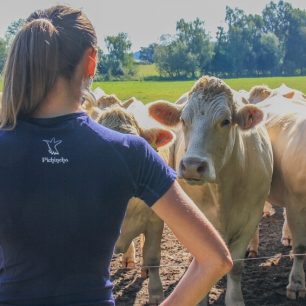 Triko Pichincha mi záviděla kdejaká kráva :-)