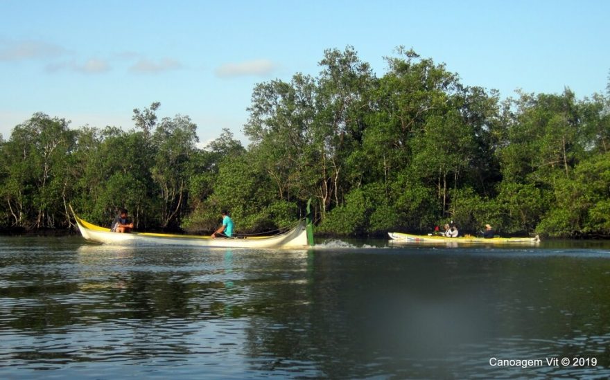 V mangrovníkovém labyrintu / F: Vít Vaníček