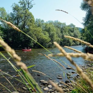 Hron ocení nejen vodáci, ale také milovníci přírody.